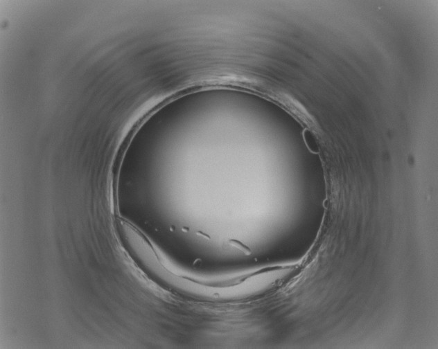 X0000072501036200607211244