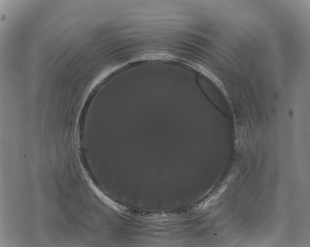 X0000072501037200607211244