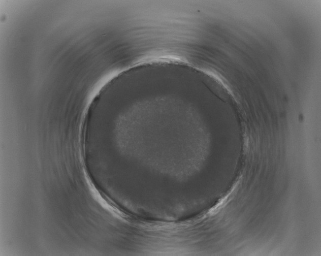 X0000072501038200607211244