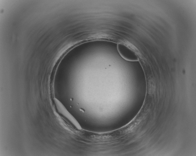 X0000072501039200607211244