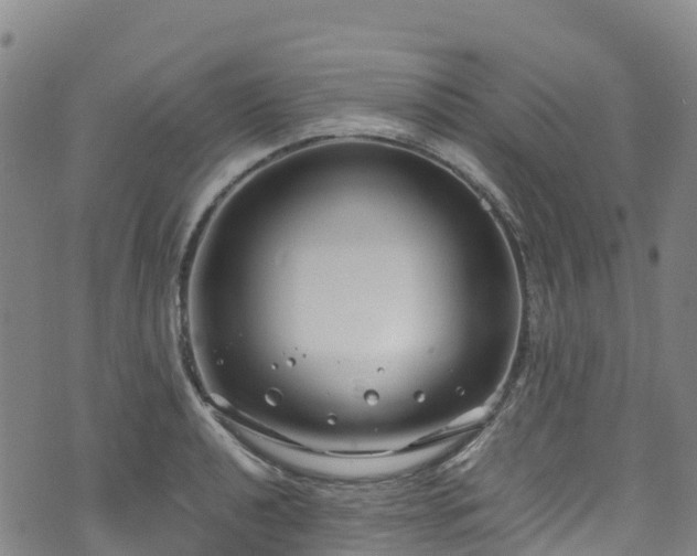 X0000072501040200607211244