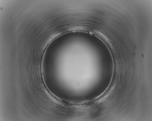 X0000072501041200607211244