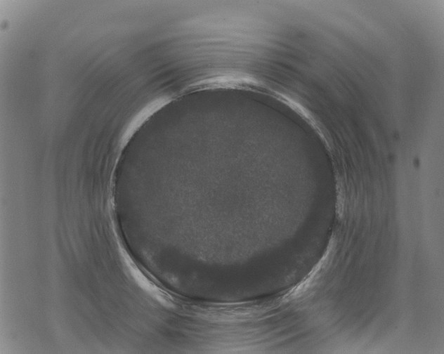 X0000072501042200607211244