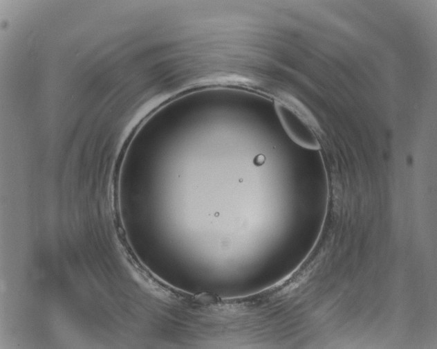 X0000072501044200607211244