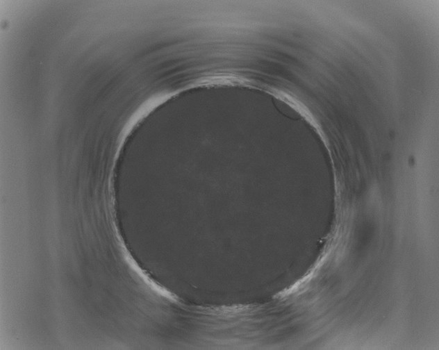 X0000072501045200607211244