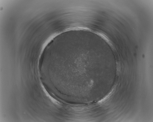 X0000072501046200607211244