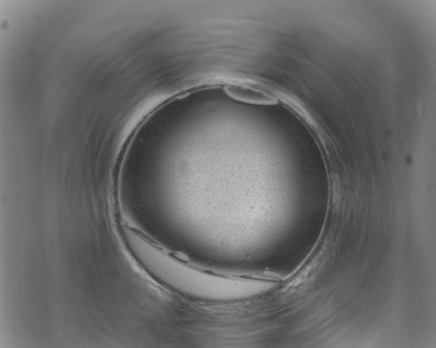 X0000072501048200607211244