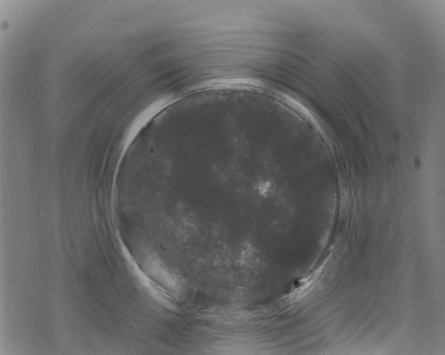 X0000072501050200607211244