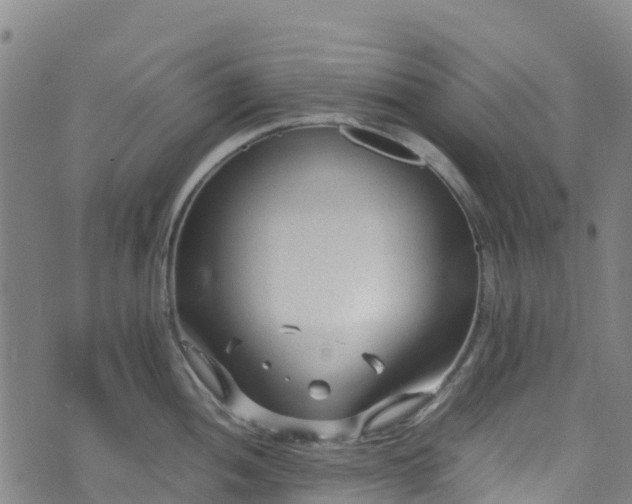 X0000072501052200607211244