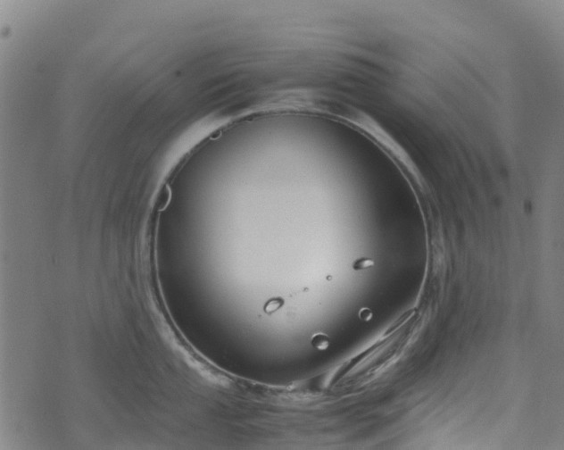 X0000072501053200607211244