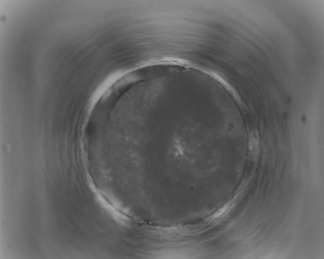 X0000072501054200607211244