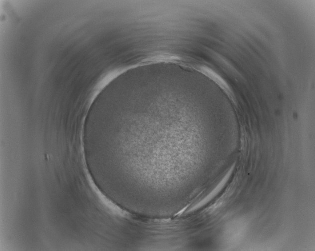 X0000072501055200607211244