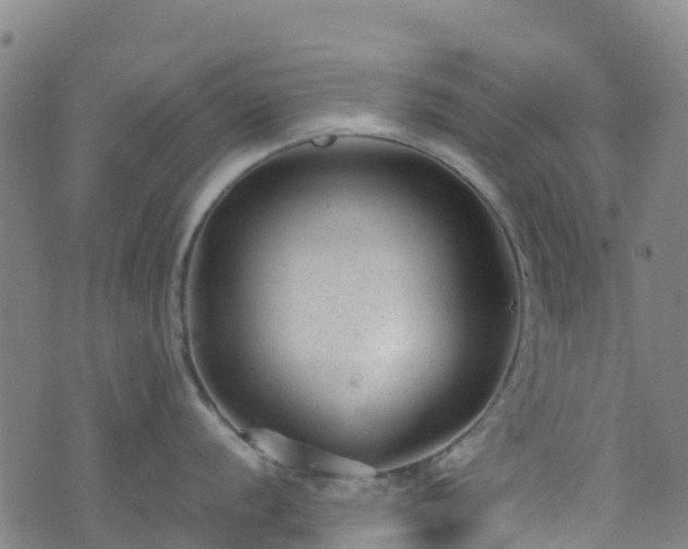 X0000072501056200607211244