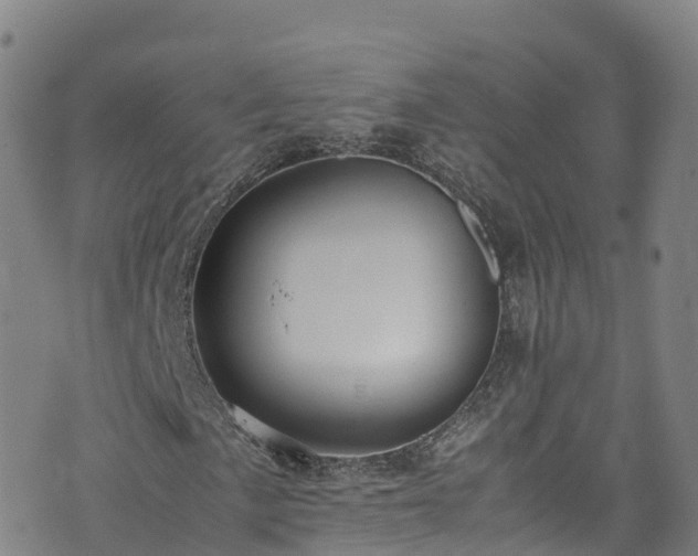 X0000072501057200607211244