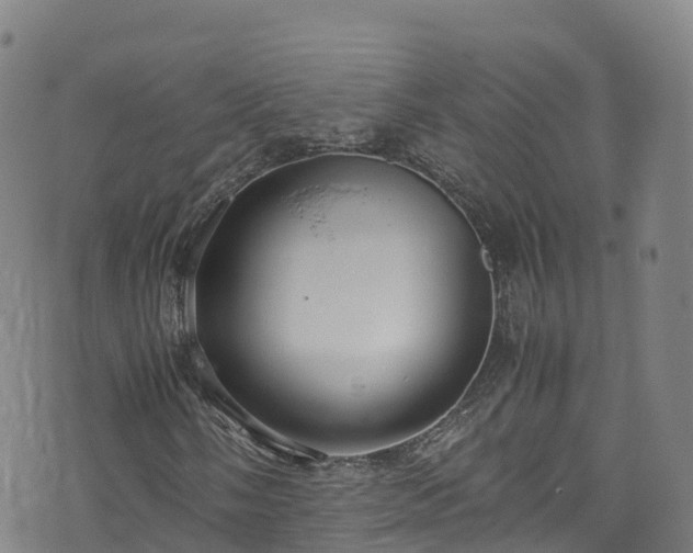 X0000072501058200607211244