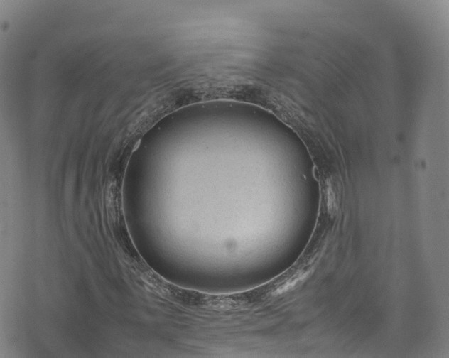 X0000072501059200607211244