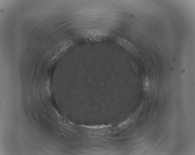 X0000072501060200607211244