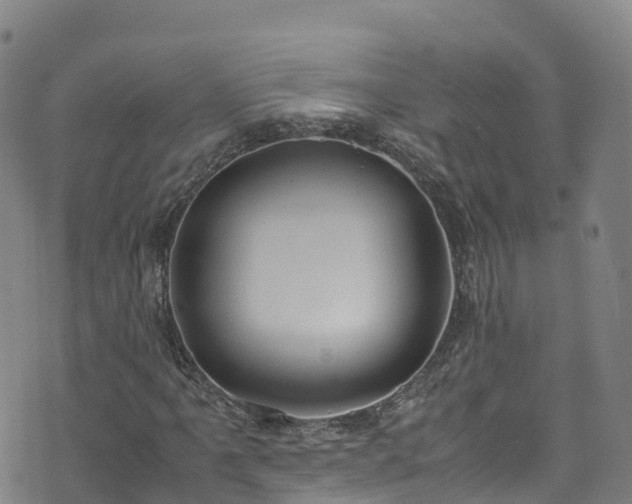 X0000072501061200607211244