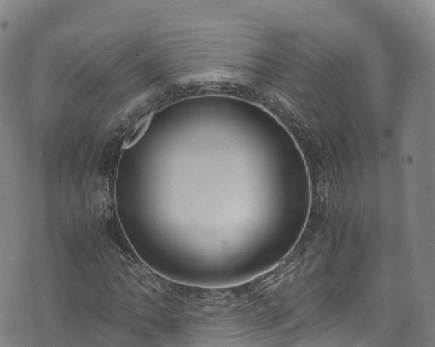 X0000072501062200607211244