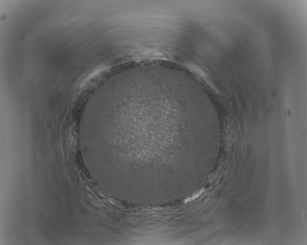 X0000072501063200607211244