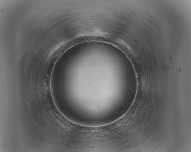 X0000072501064200607211244