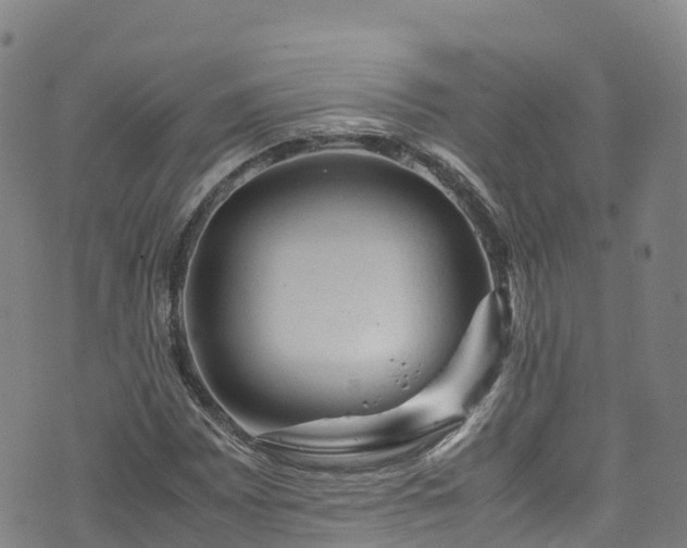 X0000072501065200607211244