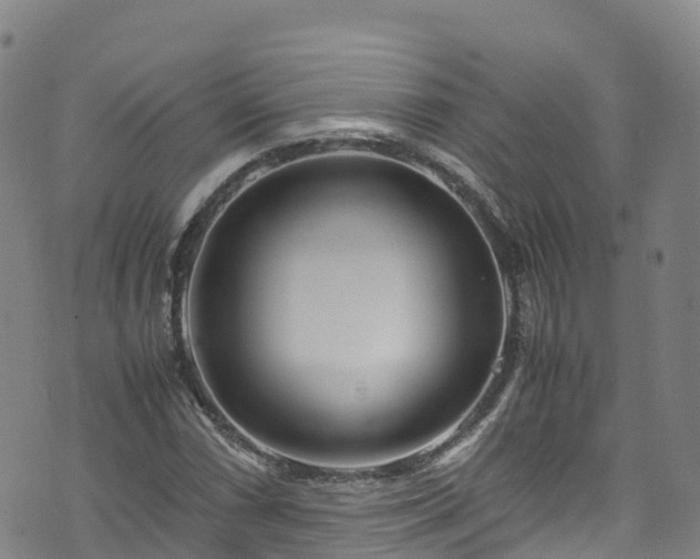 X0000072501066200607211243