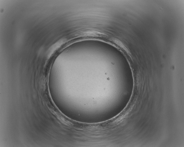 X0000072501067200607211243