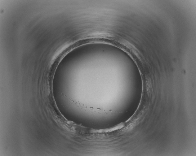 X0000072501069200607211243