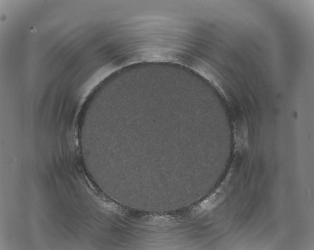 X0000072501070200607211243