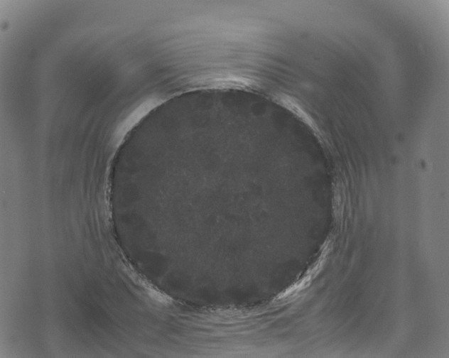 X0000072501071200607211243