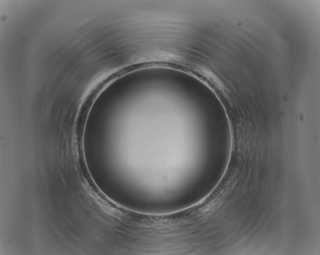 X0000072501072200607211243