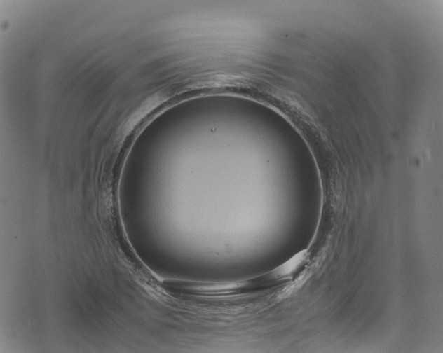 X0000072501073200607211243