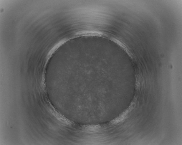 X0000072501074200607211243