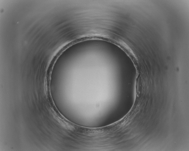 X0000072501076200607211243