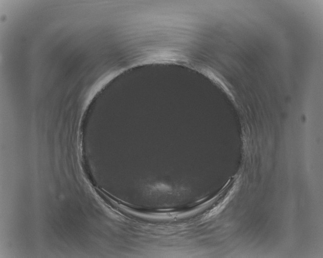 X0000072501077200607211243