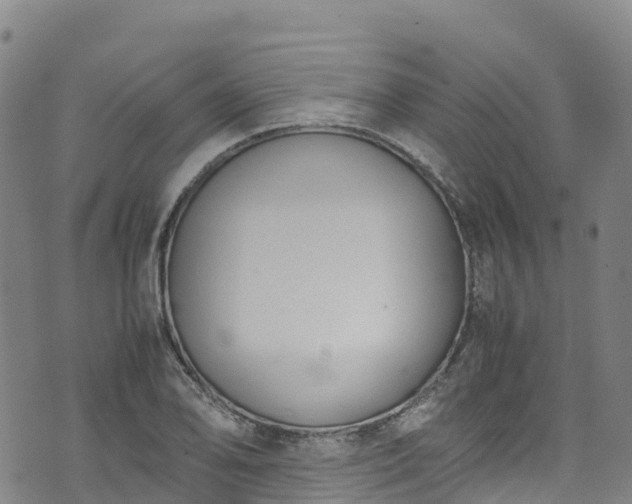 X0000072501078200607211243