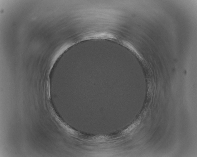 X0000072501079200607211243