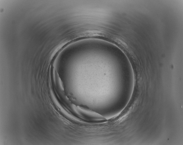 X0000072501081200607211243