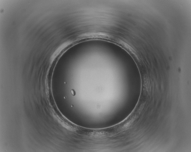 X0000072501082200607211243