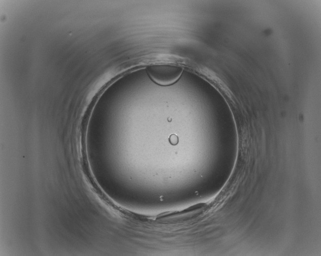 X0000072501083200607211243