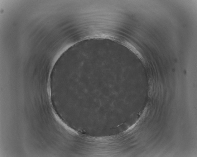 X0000072501084200607211243