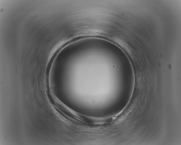 X0000072501085200607211243