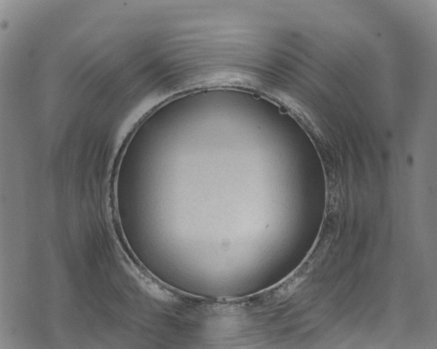 X0000072501086200607211243