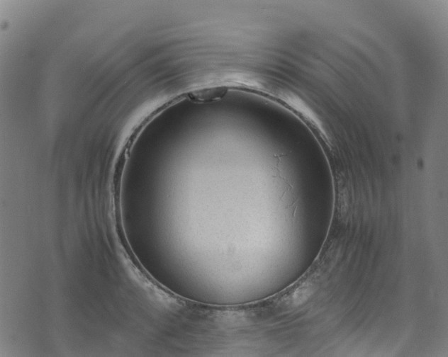 X0000072501088200607211243