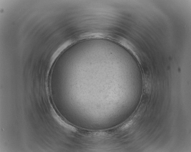 X0000072501090200607211243