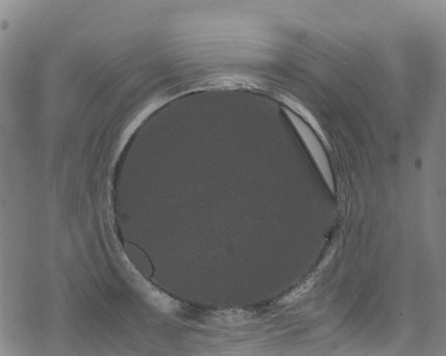 X0000072501091200607211243