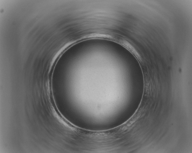 X0000072501092200607211243