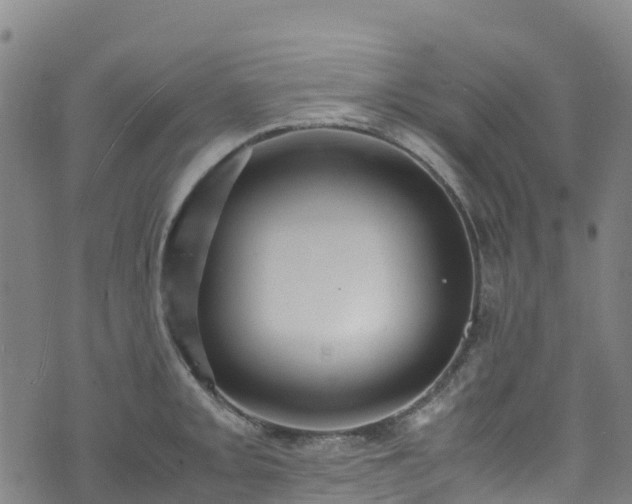 X0000072501093200607211243