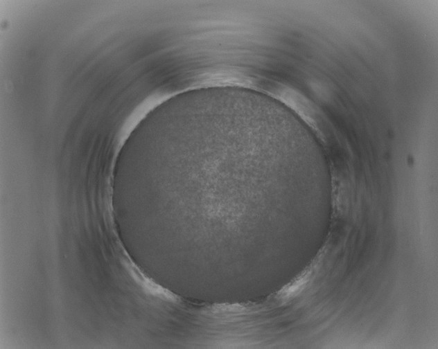 X0000072501094200607211243